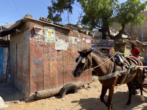 A horse and cart in Niaga, Senegal